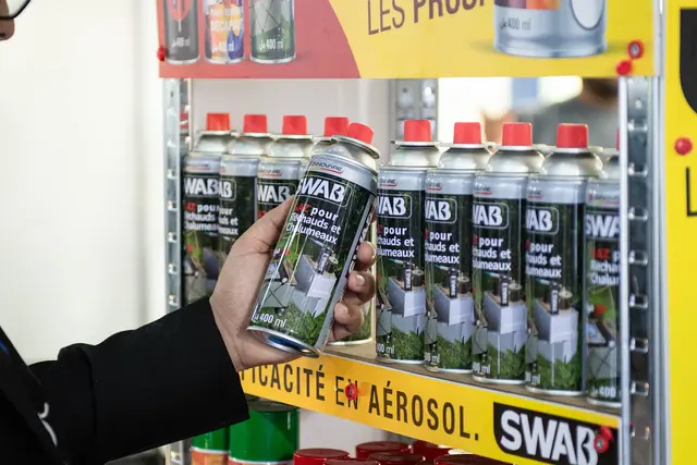 SAIDI GROUP, Exhibitions
